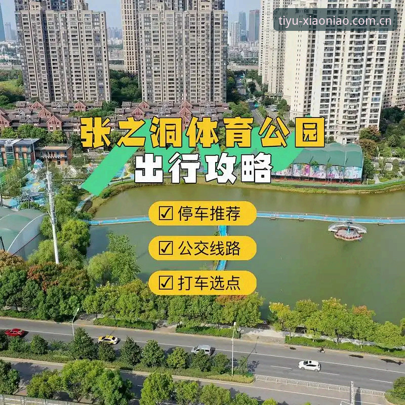 判断小鸟体育好不好的5个核心技术指标