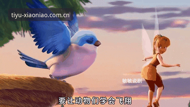 小鸟体育平台最新版下载动态：功能升级与用户体验全面革新
